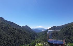 B&B La Locanda Del Cinghiale